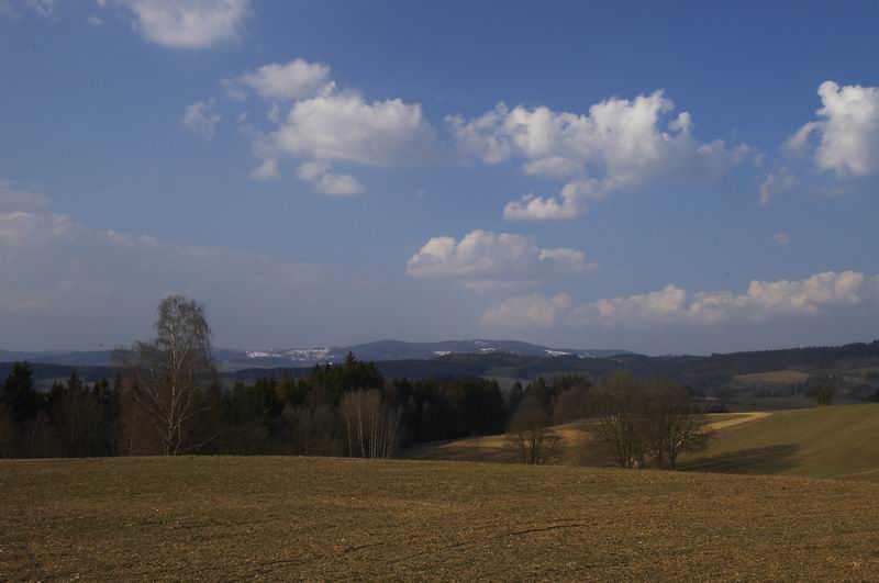 D022_41_p1