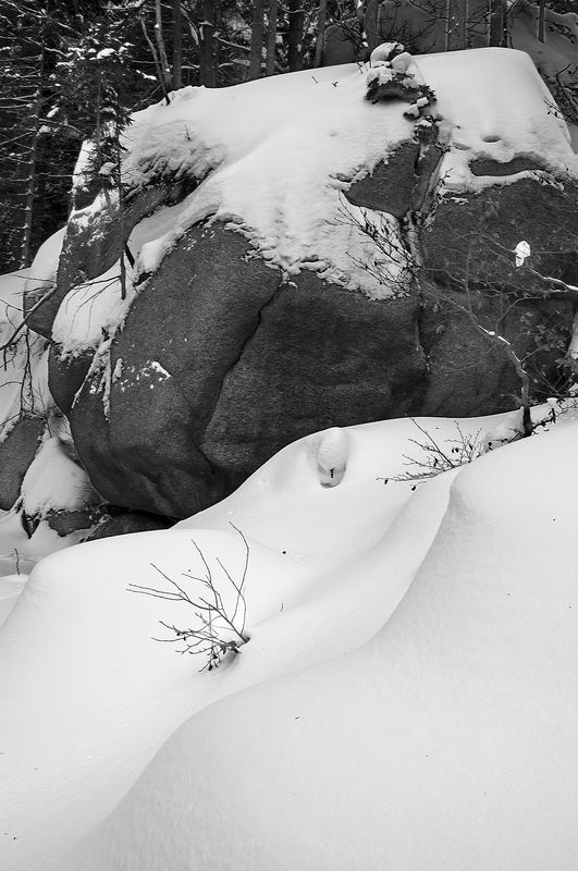D032_21